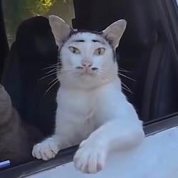 CHINKAT