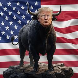 TRUMPBULL / SOL