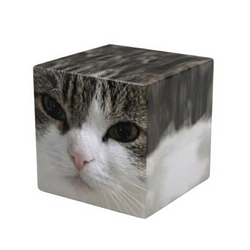 CUBE / SOL