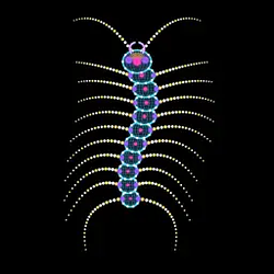 Parasite