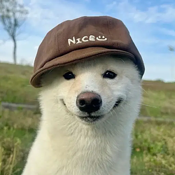 nice / SOL