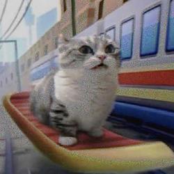 onboard