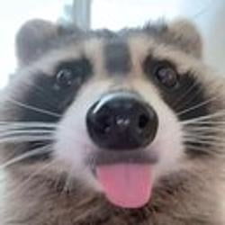 BANDIT