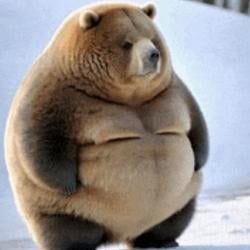 BEAR / SOL