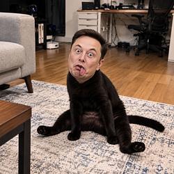 ELONCAT
