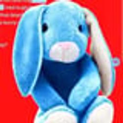 Bunny / SOL