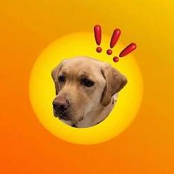 BARLEY