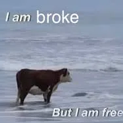 free / SOL