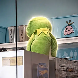 Kermit / SOL