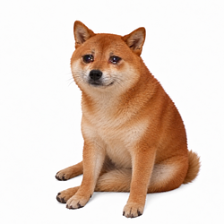 CRASHINU
