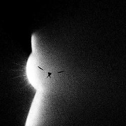 dust / SOL