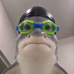 SHARKINU