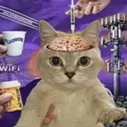 psyopcat / SOL