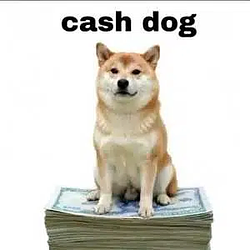 CASHDOG