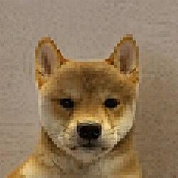 pixinu