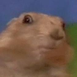 CHIPMUNK