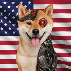 AMERICA