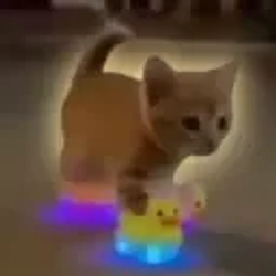 QUAKCAT / SOL