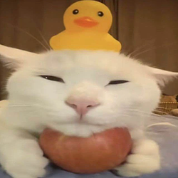 Apple / SOL