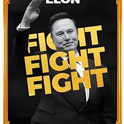 ELONMEME / SOL