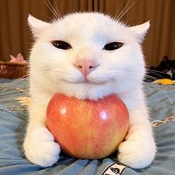 acat