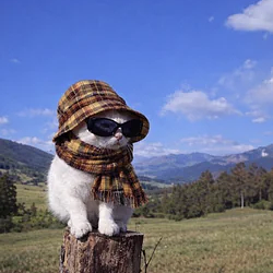 OFFLINE