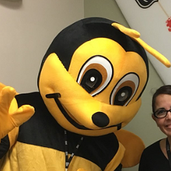 I🐝M / SOL