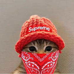 SUPREME