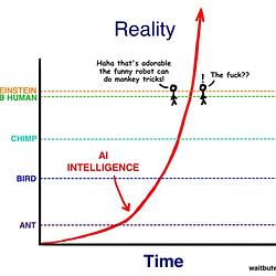 Time + Intelligence