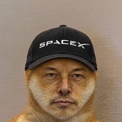 Eloninu