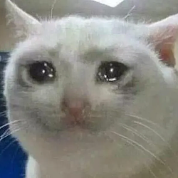 RAPECAT