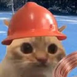 SAFETYCAT