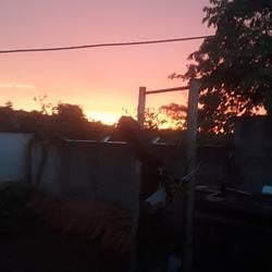 Sun / SOL