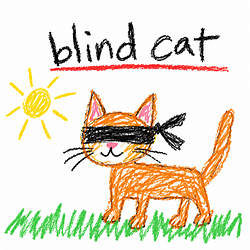 blind cat