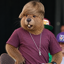 Beaver