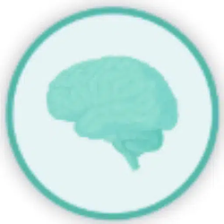 SpikingBrain