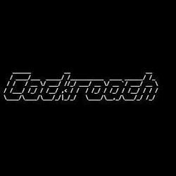 Cockroach / SOL