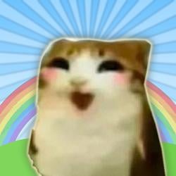 CAOWL
