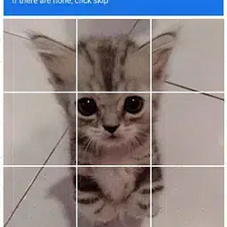 CATCHA