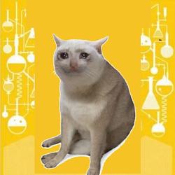 CATEBERG