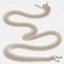 longcat