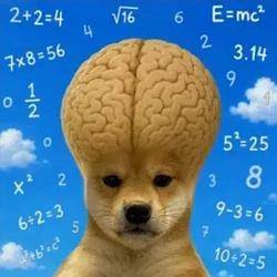 MIND