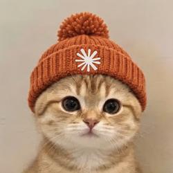 CLAUDECAT