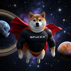 SpaceXSI