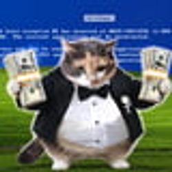 fatcat / SOL