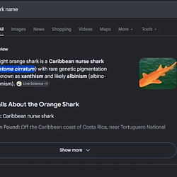 BITSHARK
