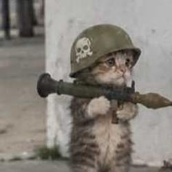 bazookacat