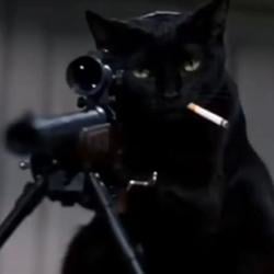 HITCAT