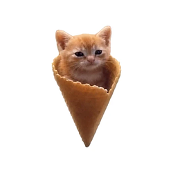 conecat / SOL