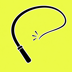 OpenWhip logo